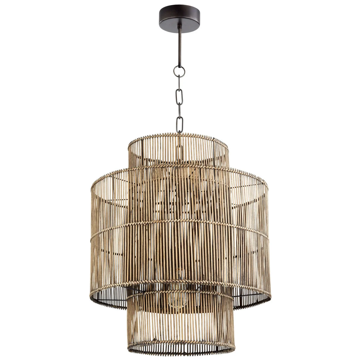 Cyan Design 10273 Hammond Pendant