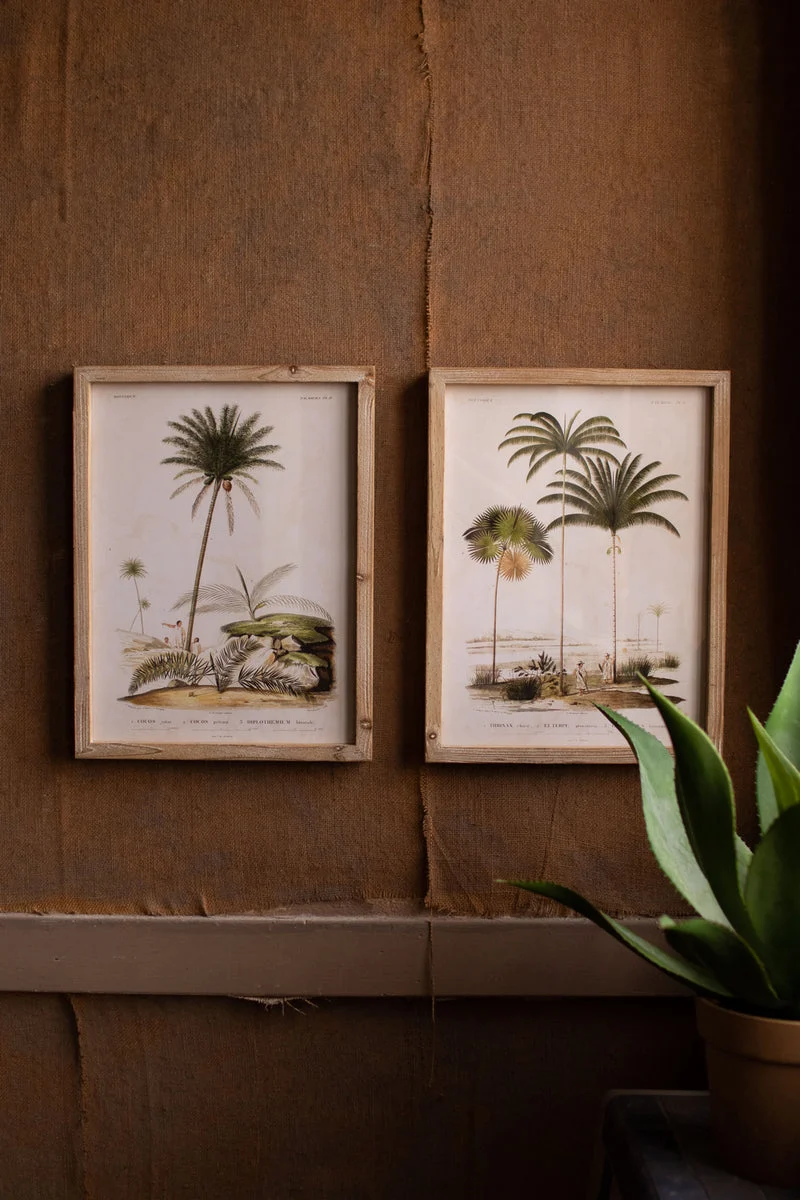 Kalalou CHH1337 Palm Tree Prints Under Glass