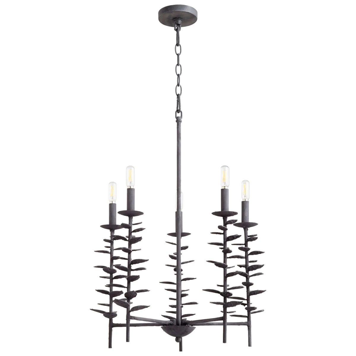 Cyan Design 10974 Iron Barnaby Chandelier