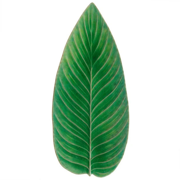 Riviera 16" Strelitzia Leaf - OPEN BOX