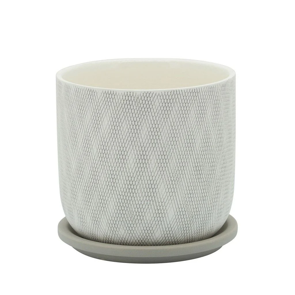 Sagebrook Home 16115-02 6" Mesh Planter with Saucer, Tan