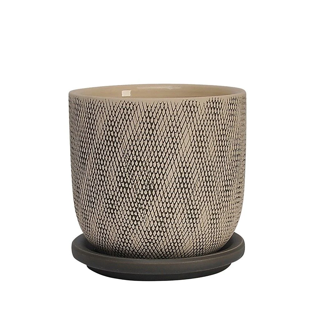 Sagebrook Home 16116-01 5" Mesh Planter with Saucer, Gray