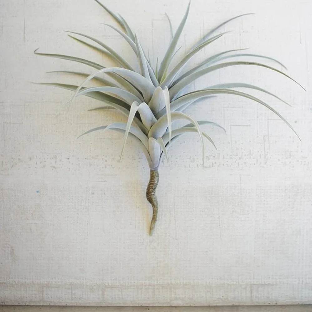 Giant Artificial Air Plant – 17" Tall Faux Green Succulent by Kalalou