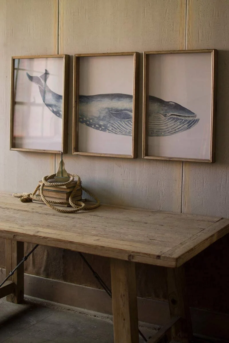 Wall Art, Framed Whale Print Under Glass 26"H – Distressed Gray Wood Frame Coastal Wall Decor by Kalalou