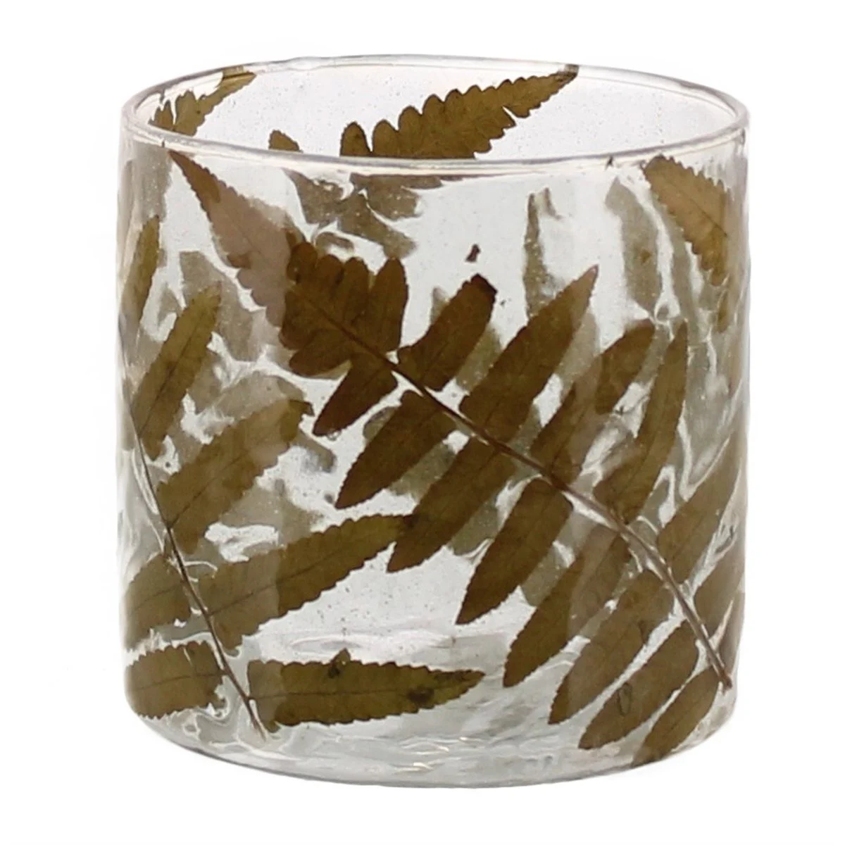 Benzara BM209747 Cylindrical Fern Frond Enameled Glass Hurricane, Medium, Clear and Brown
