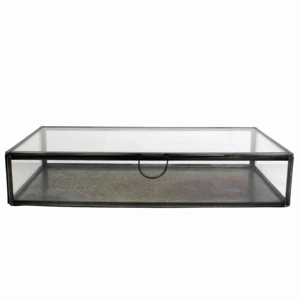 Benzara BM209806 Rectangular Metal and Glass Frame Case with Lift Top Storage, Black