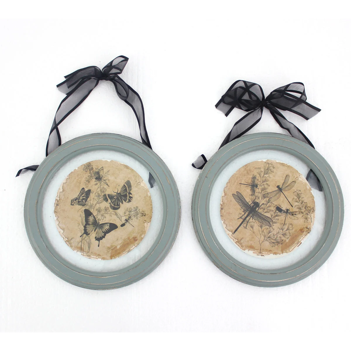 Benzara 2 Piece Glass Plate Design Wall Decor with Ribbon Hanging, Gray and Clear