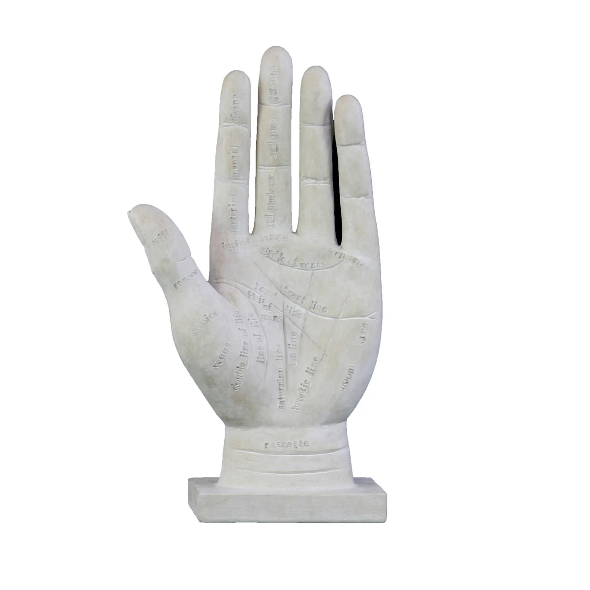 Benzara BM219652 Polyresin Palmistry Hand Sculpture with Engraved Labels, Set of 2, White