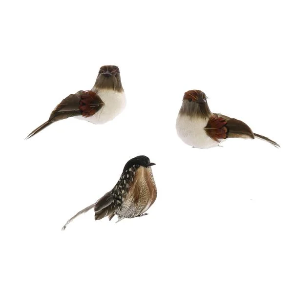 Benzara Feather Sitting Bird Accentdecor with Clips, Assortment of 3, Brown