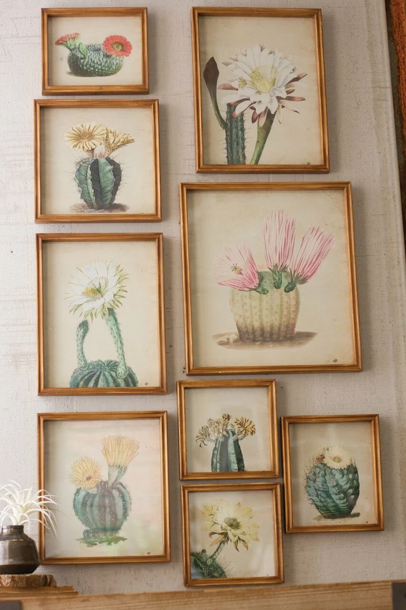 Kalalou CHH1192 Cactus Flower Prints Under Glass Set of 9