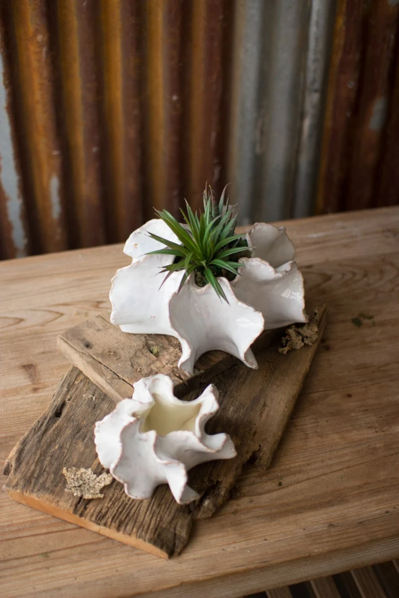 Ceramic Pot Set of 2 – Organic 5" Tall Planters by Kalalou