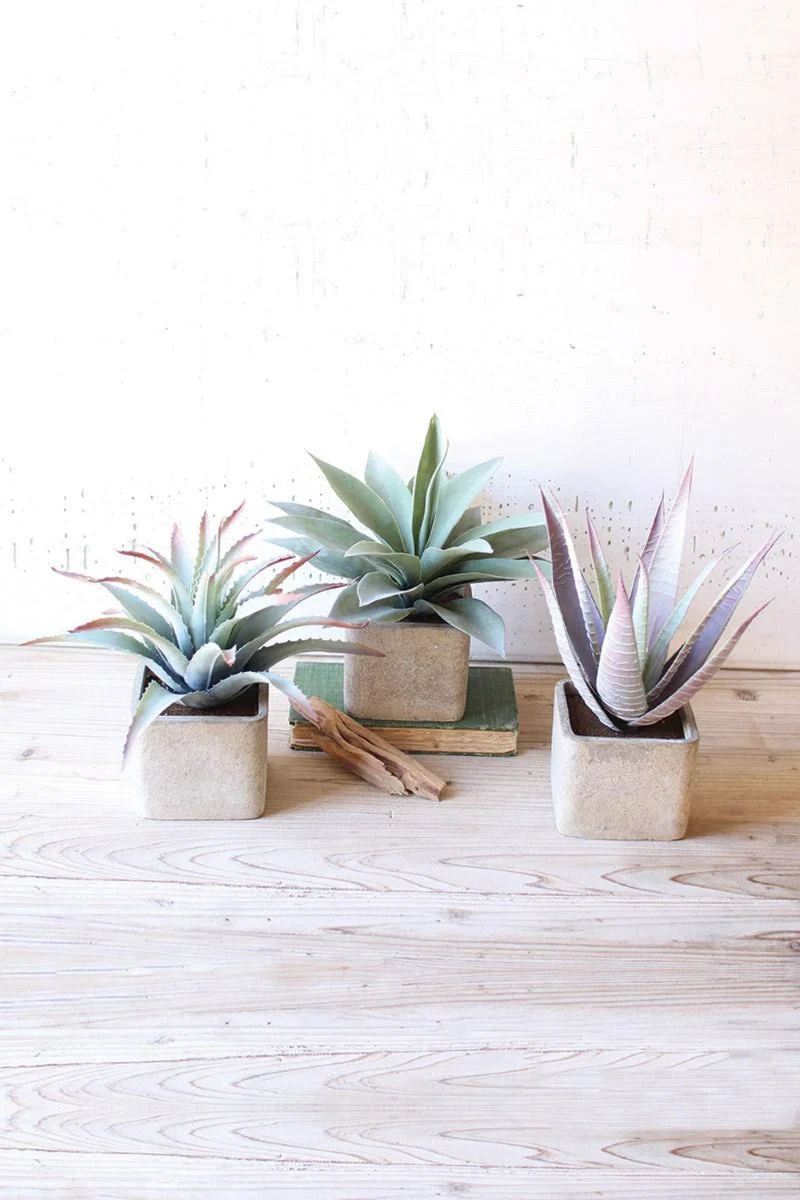 Large Artificial Succulents in Square Pots – 11" Decorative Faux Plants, Set of Three by Kalalou