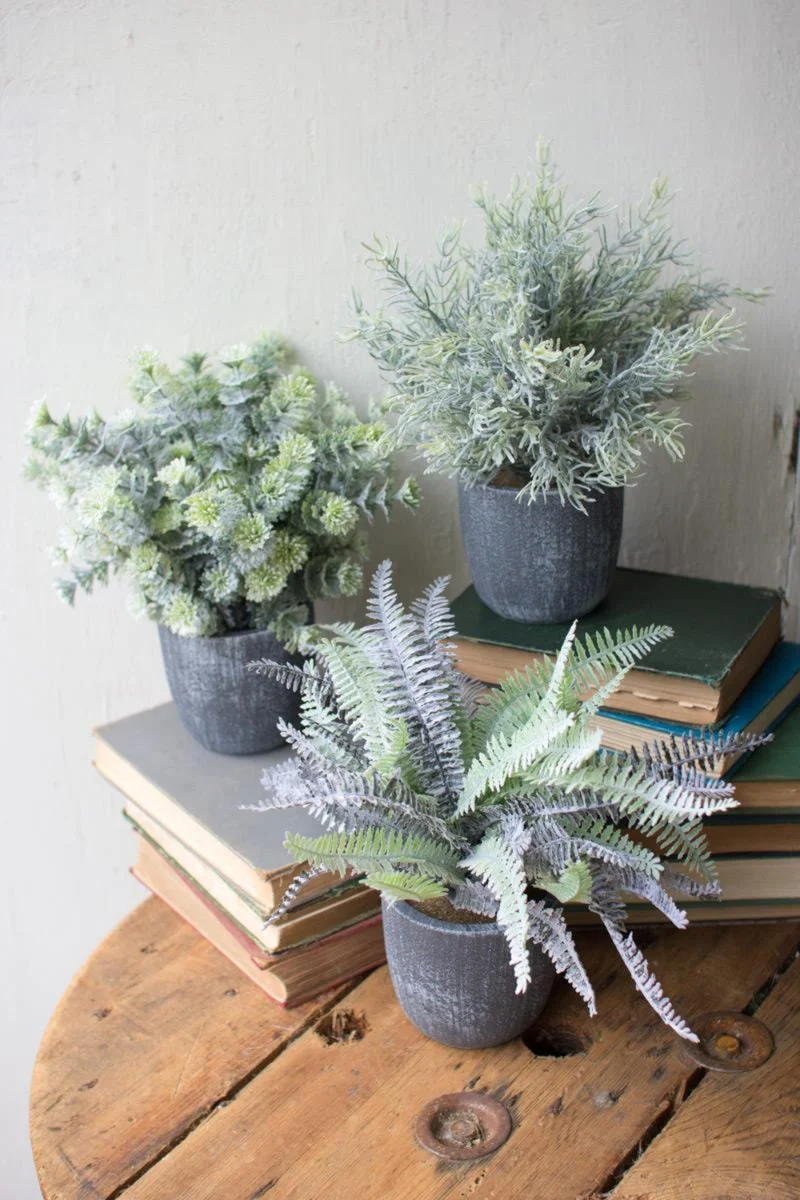 Faux Ferns with Round Grey Pots – 9.75" Decorative Greenery Accents, Set of Three by Kalalou