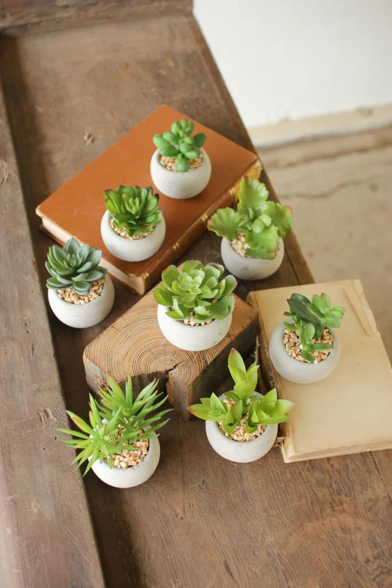 Small Faux Succulents with Round Cement Pots – 2.25" Modern Decorative Greenery, Set of Eight by Kalalou