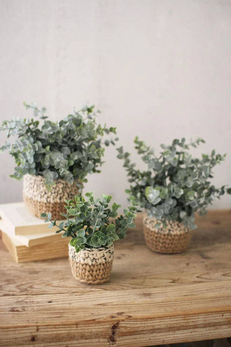 Artificial Eucalyptus Plants in Woven Pots – Decorative Faux Greenery, Set of Three by Kalalou