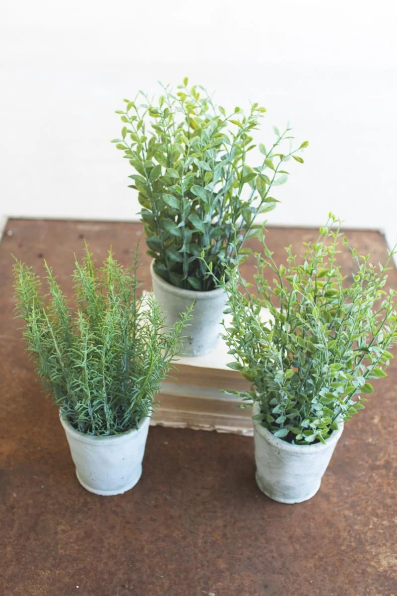 Artificial Herbs in Cement Pots – 13"H Decorative Greenery Accents, Set of Three by Kalalou