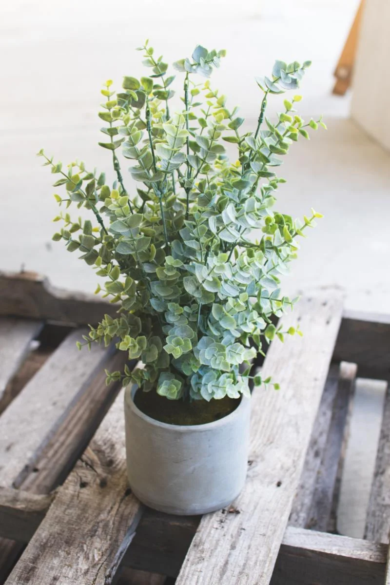 Artificial Boxwood in a Cement Pot – 18" Decorative Faux Green Plant by Kalalou
