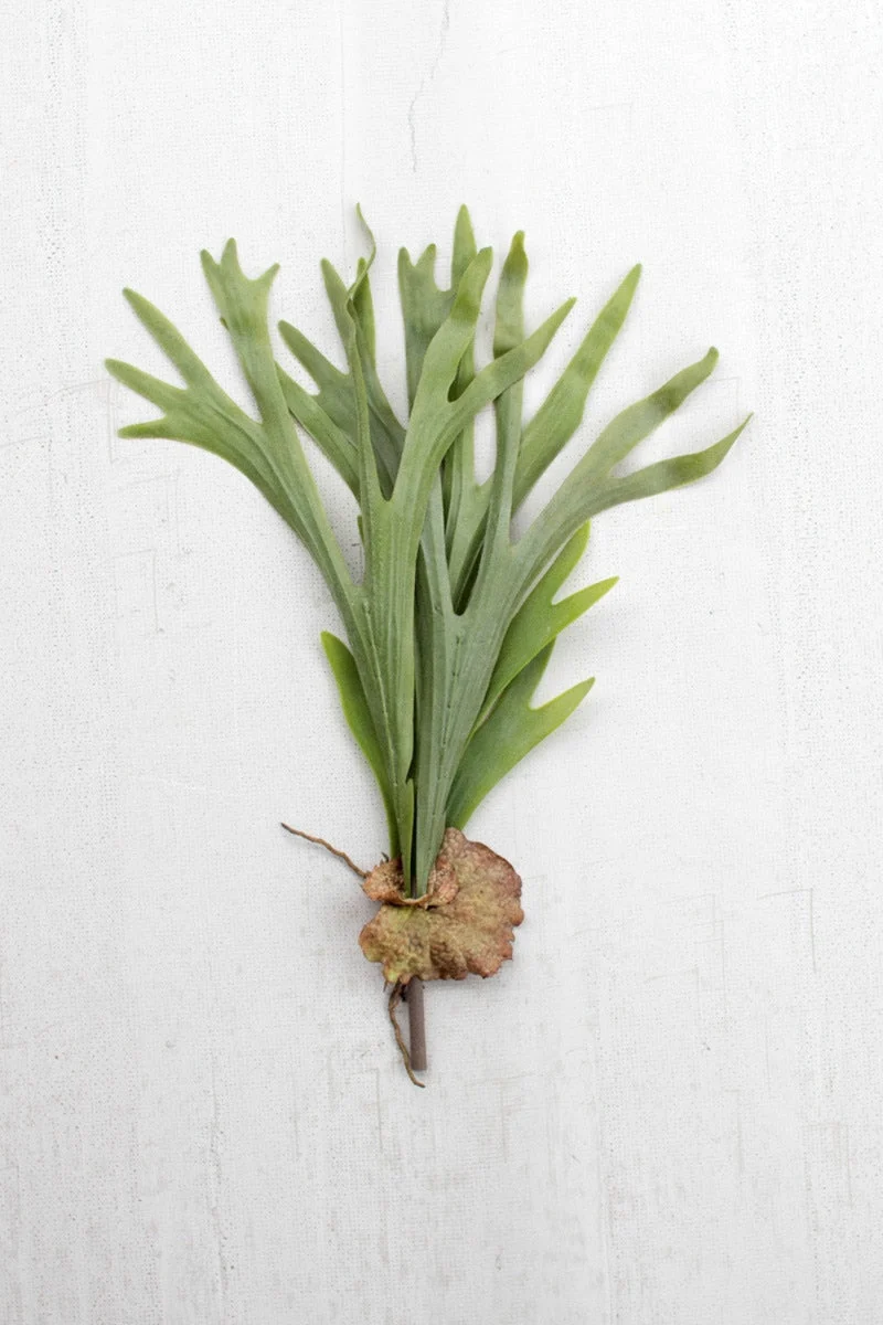 Artificial Staghorn Fern Stem 24.5"H Plastic & Wire Botanical Accent – Green Faux Leaf Decor (Set of 6) By Kalalou