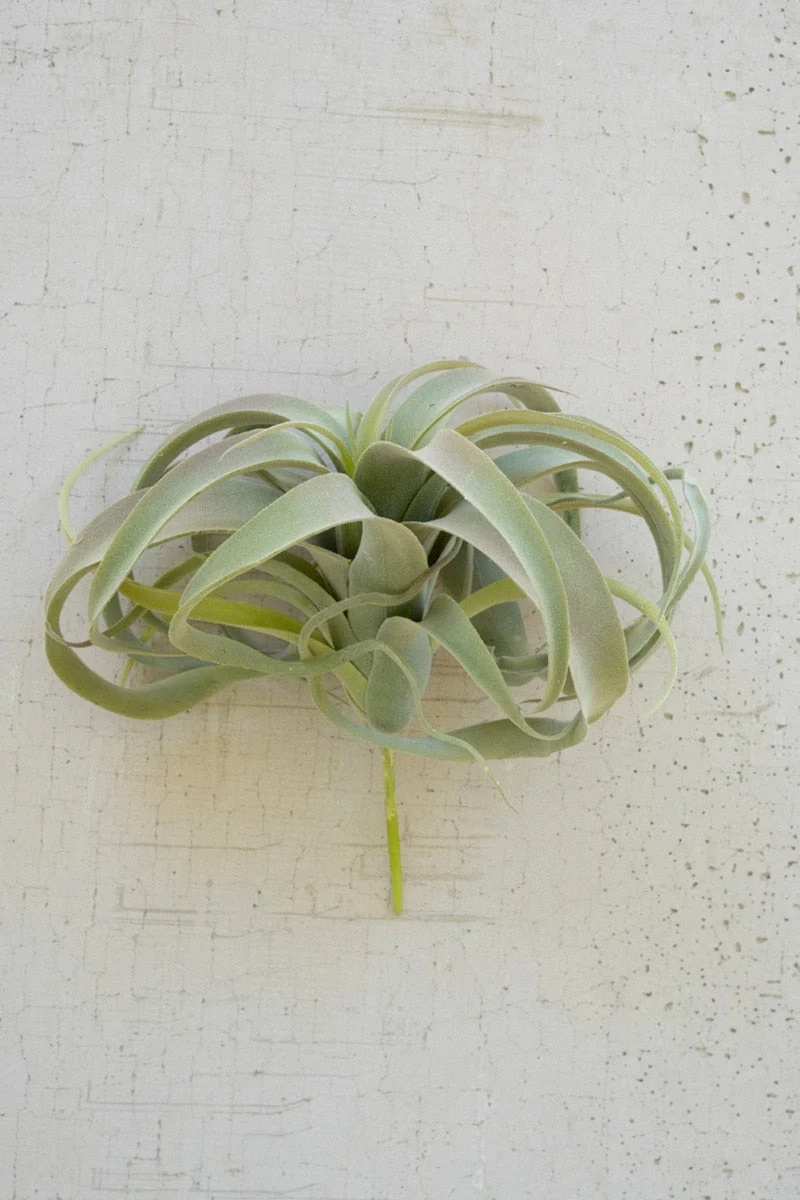 Extra Large Tillandsia Plant 10.5" H – Gray Faux Air Plant for Whimsical Greenery & Succulent Displays (Set of 6) By Kalalou