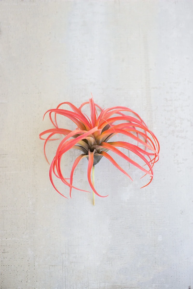 Artificial Flocking Red Air Plant – 10" Tall Decorative Succulent by Kalalou