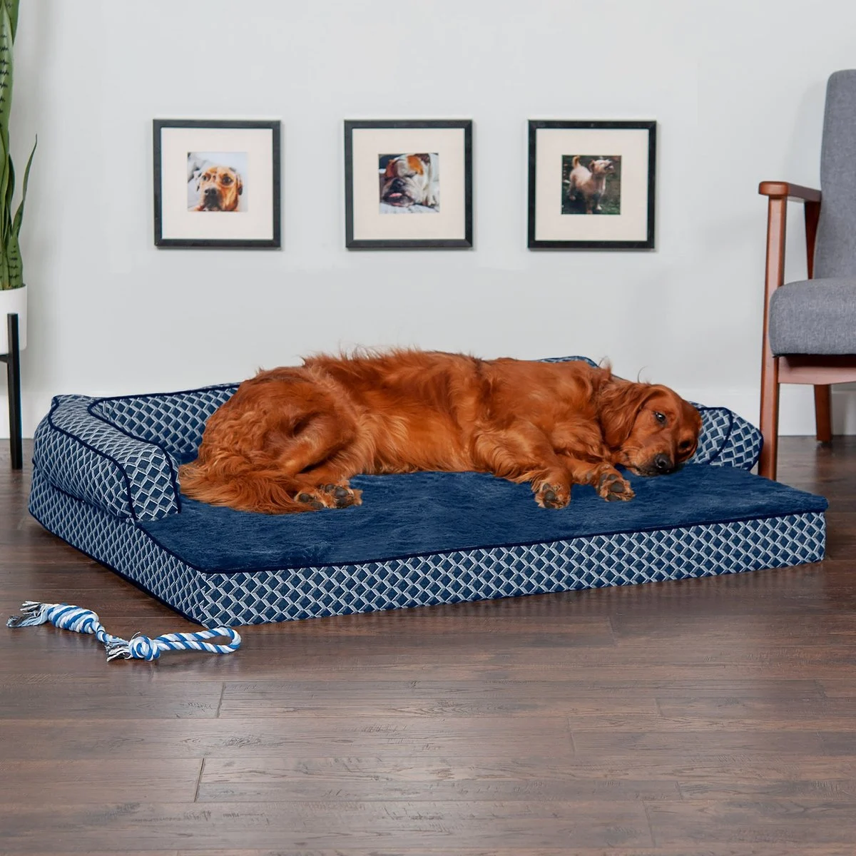 FurHaven Comfy Couch Orthopedic Bolster Dog Bed w/Removable Cover – Diamond Blue, Jumbo