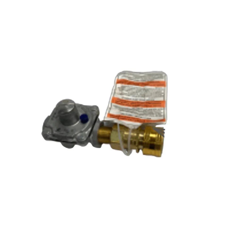 IR Energy Natural Gas Regulator With Quick Disconnect Kit for GA301M/MP