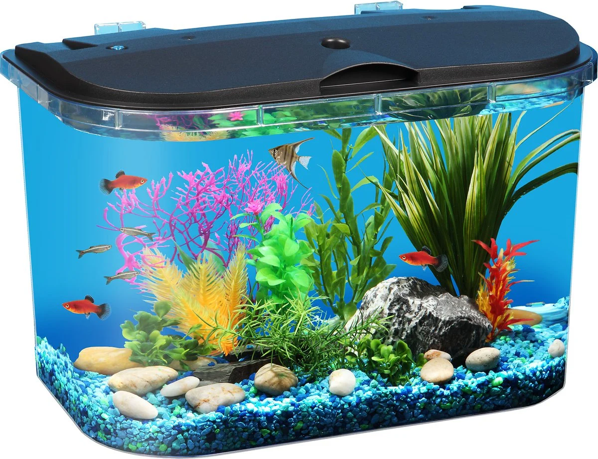 Koller Products Tropical Panaview Aquarium Starter Kit, 5-gal
