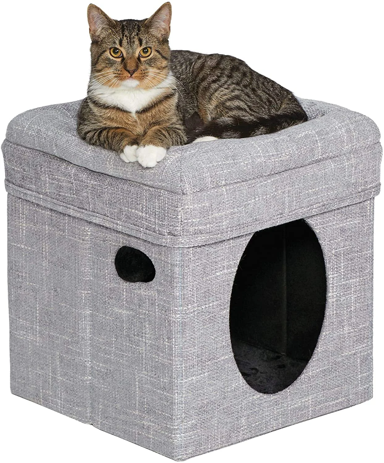 MidWest Curious Cube Condo + Catty Scratch Cat Scratcher with Catnip, Small, Silver