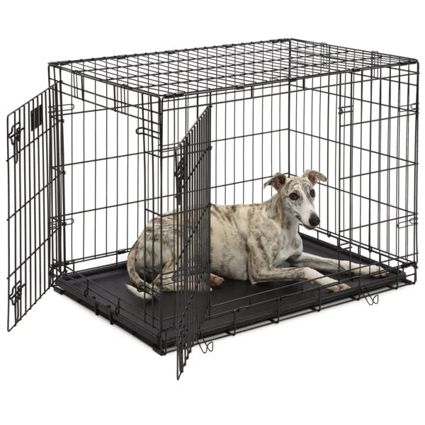 Midwest Home for Pets Lifestage Double-Door Dog Crate, 36″
