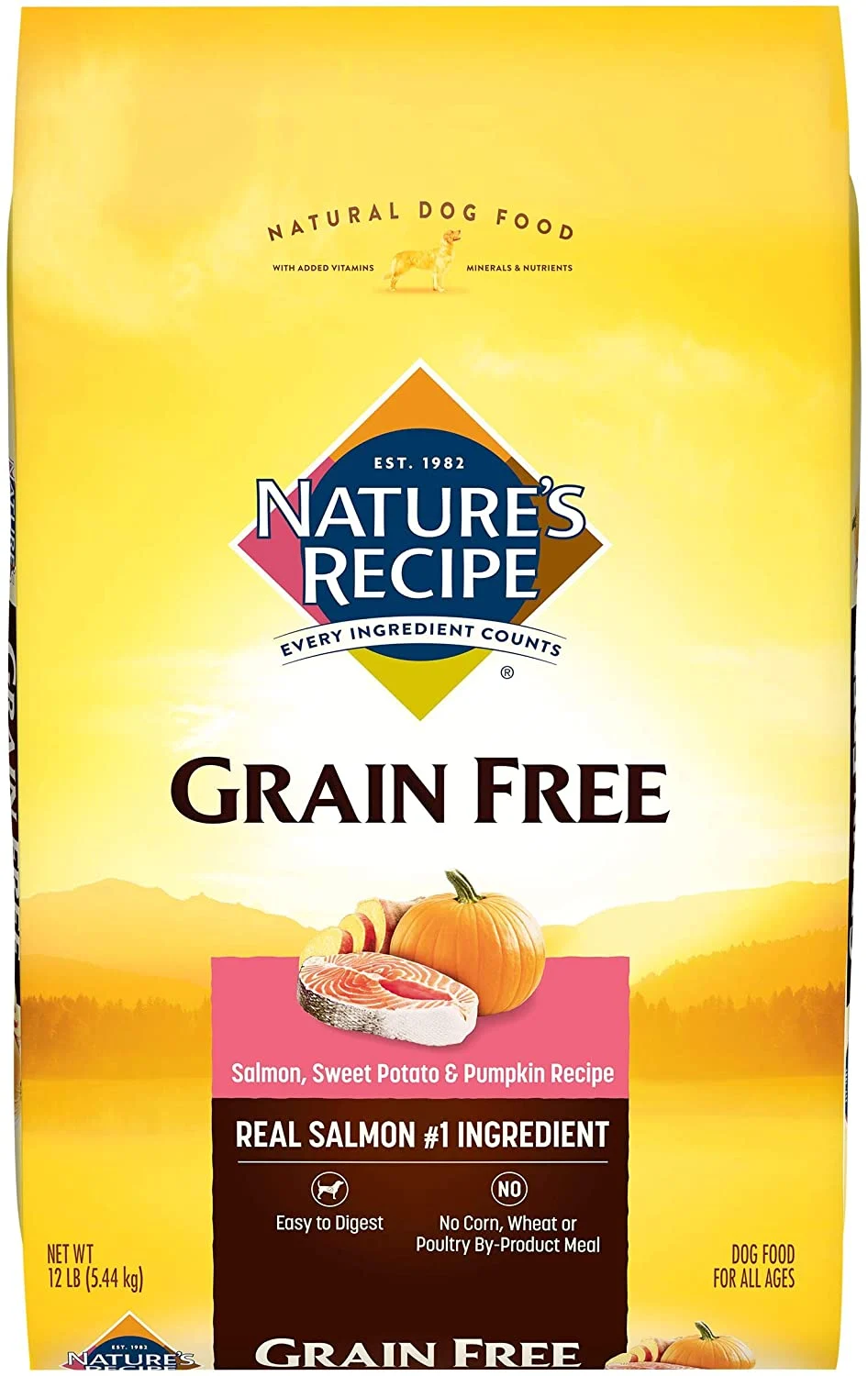 Nature’s Recipe Grain Free Dry Dog Food, Salmon, Sweet Potato & Pumpkin Recipe, 12 Pound Bag, Easy to Digest