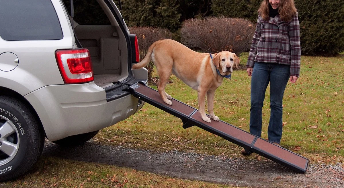 Pet Gear Full Length Tri-Fold Dog Car Ramp, Chocolate / Black