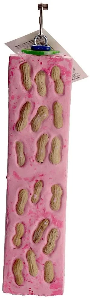 Polly’s Nutty Log Cactus Snack Bird Chew Toy