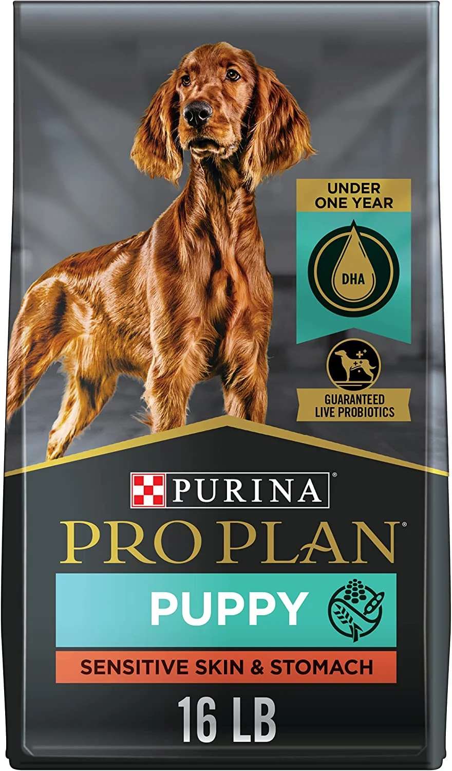 Purina Pro Plan Puppy Sensitive Skin & Stomach Salmon & Rice Dry Dog Food 16 lb. Bag