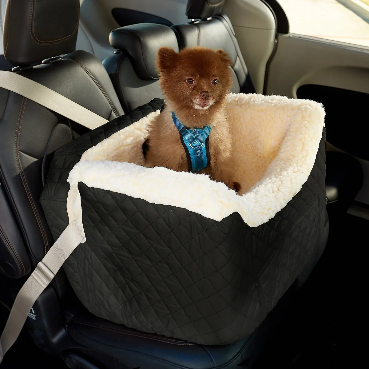 Snoozer Pet Products Lookout II Cat & Dog Car Seat, Medium