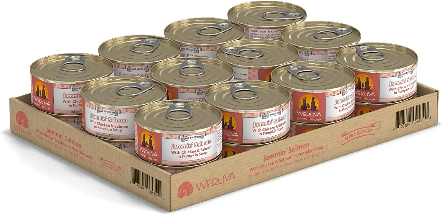 Weruva Jammin’ Salmon with Chicken & Salmon in Pumpkin Soup Grain-Free Canned Dog Food 5.5 Ounce (Pack of 24)