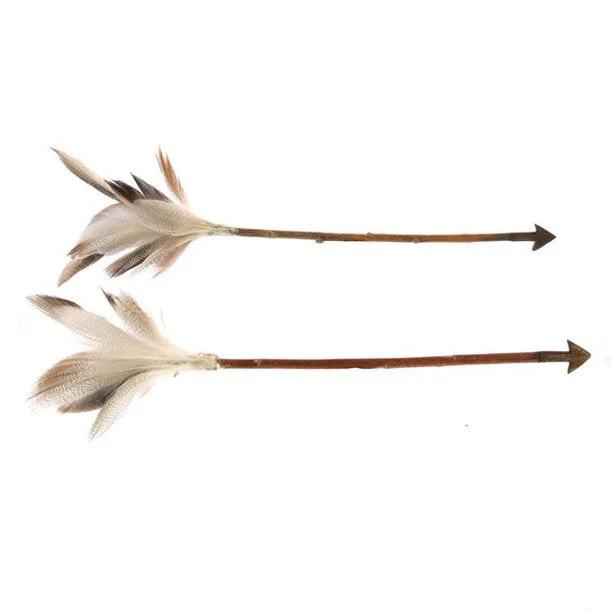Benzara Twig Arrow Design Accentdecor with Feathers, Assortment of 6, Brown